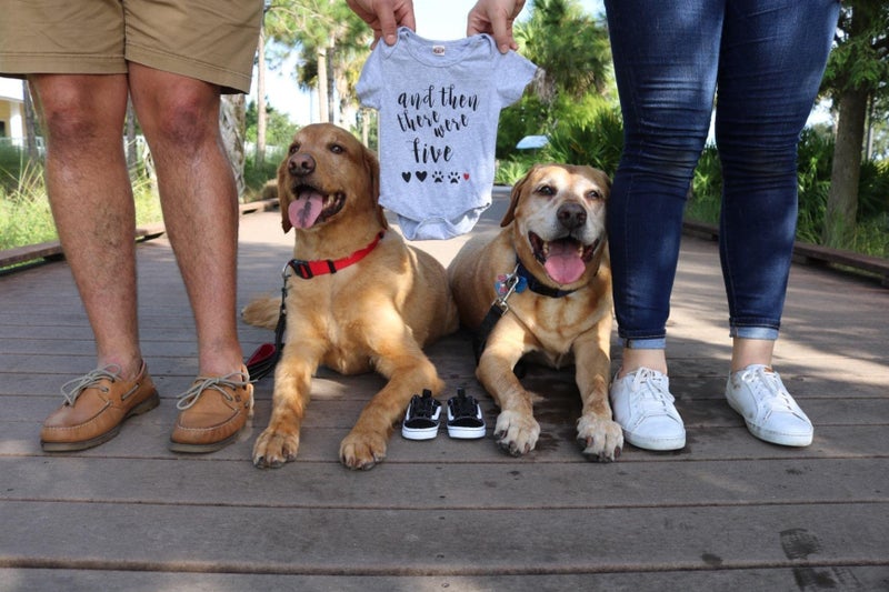 BFUSTYLE Infant Baby Boys Girls Unisex Pregnancy Reveal Bodysuit And Then There Were 5 Paws Sports Romper Solid Cotton Summer Footprint One-Piece Jumpsuit Sunsuit 1/2 Birthday Romper With 3-6 Months - Image 4